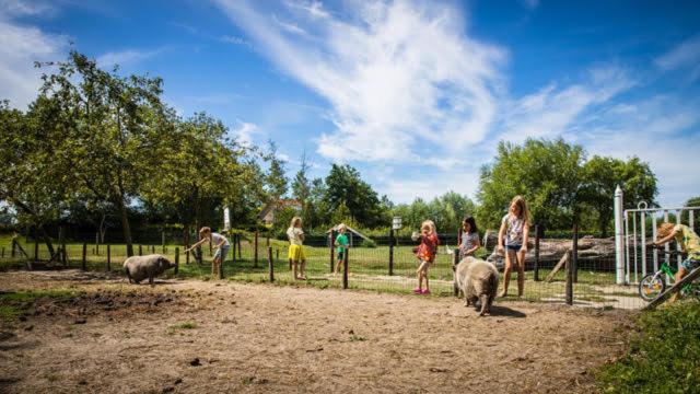 Welcome In - Oranjezon - Vakantiehuis 6 Personen Vrouwenpolder Zewnętrze zdjęcie